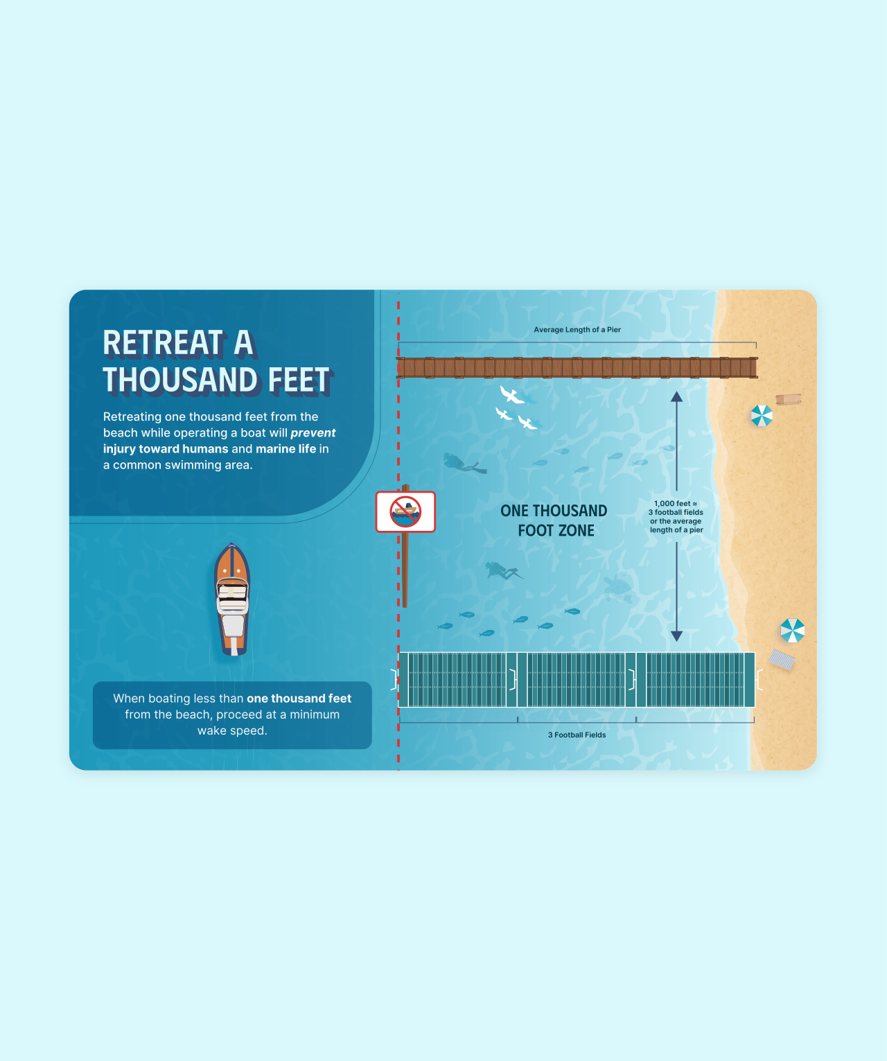 Illustration & Infographics